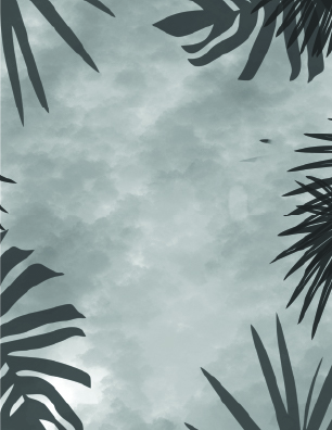 Background Layer of the Design