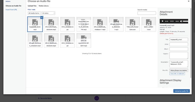A screenshot of all of hte audio files that were put up on the website causing it to slow.